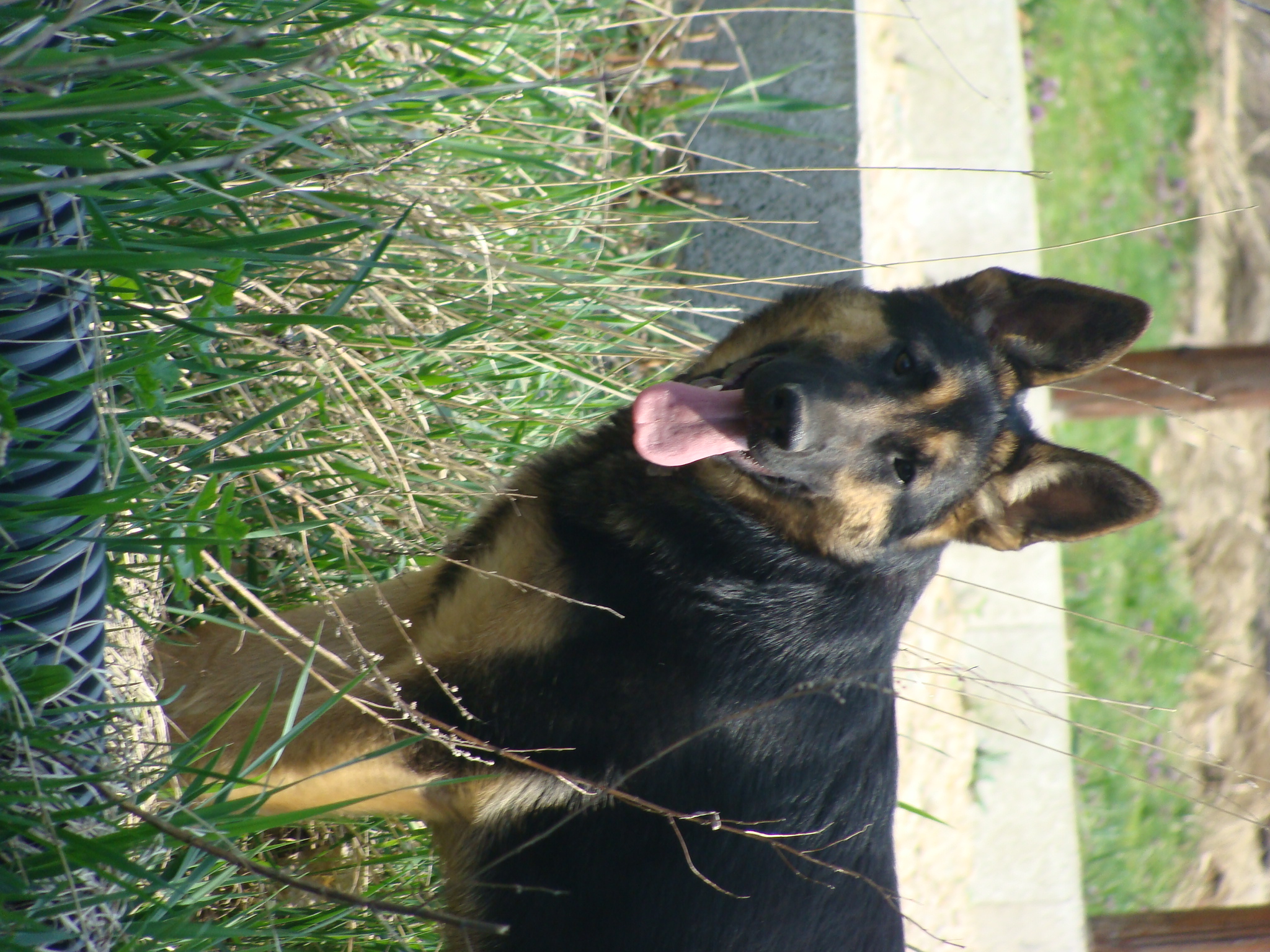 DSC04264.JPG