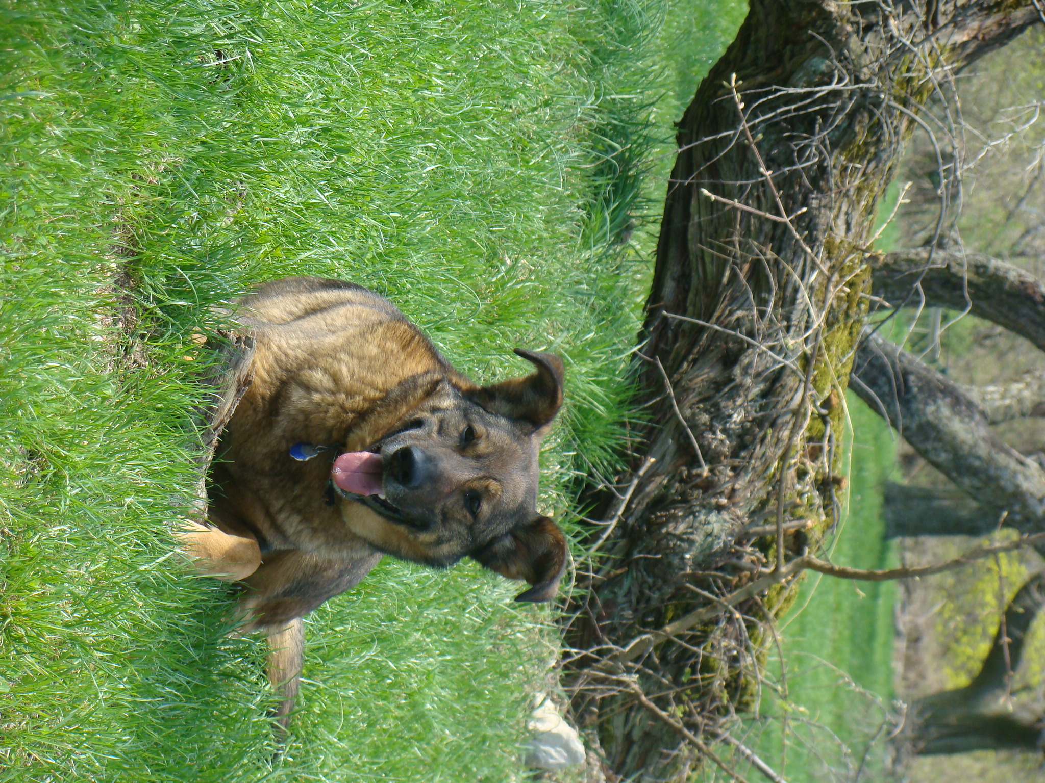 DSC04282.JPG