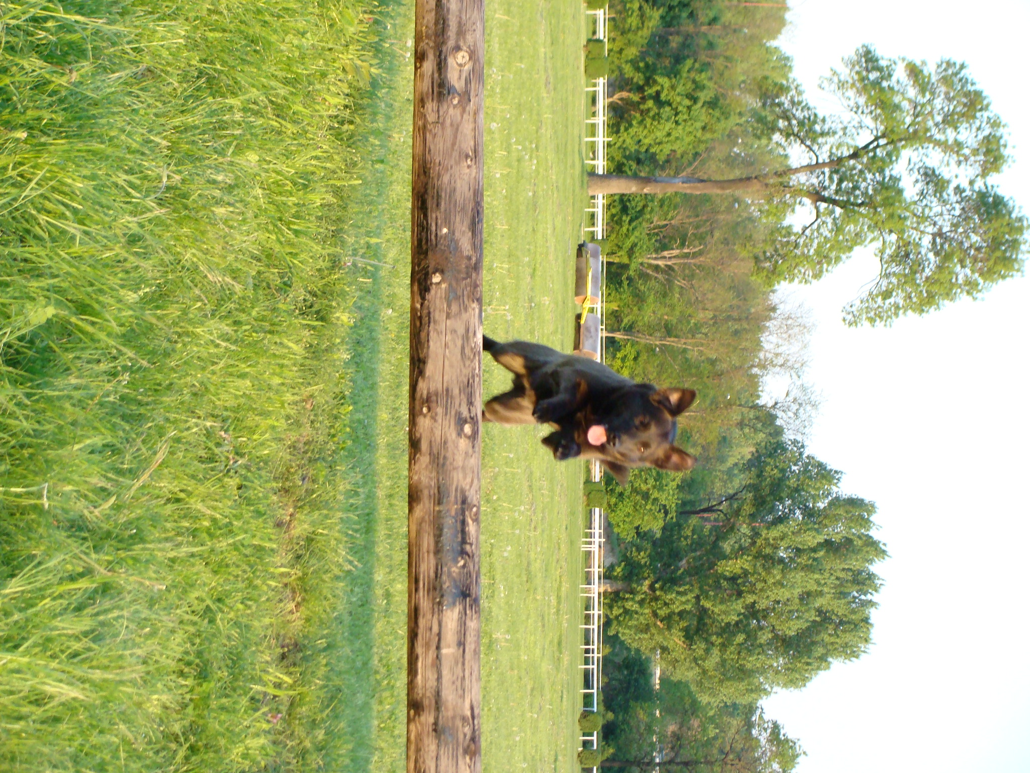 DSC04429.JPG